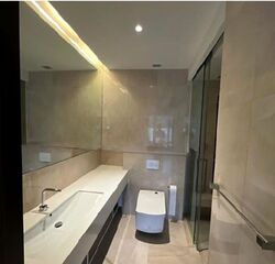 The Scotts Tower (D9), Condominium #613671311